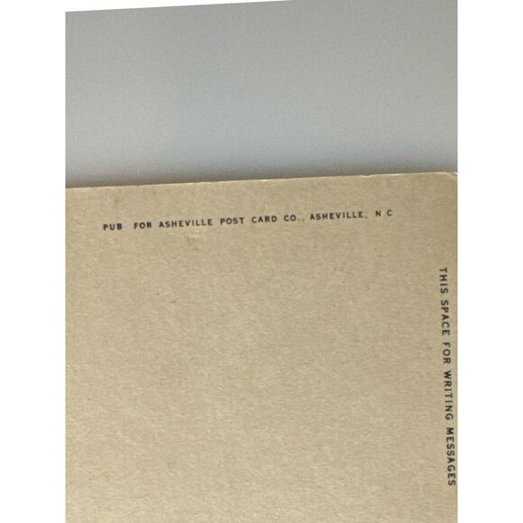 Antique Lithograph Postcard Early 1900s Farewell Humor Cowboy Bucking Bronco SEE - Picture 4 of 4